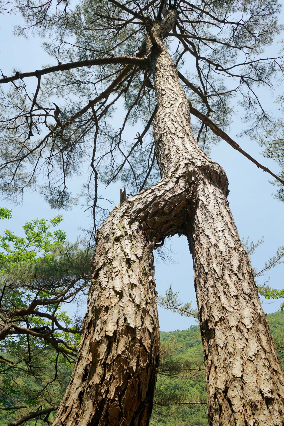 괴산 사기막마을 전경